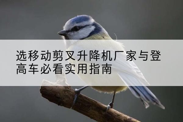 阿拉善右旗电动升降机厂家-选移动剪叉升降机厂家与登高车必看实用指南