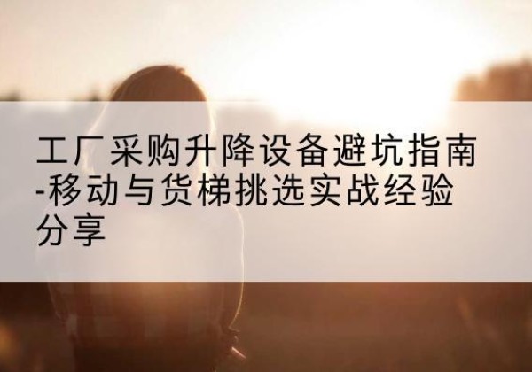 阿拉善右旗移动式升降机怎么选-工厂采购升降设备避坑指南-移动与货梯挑选实战经验分享