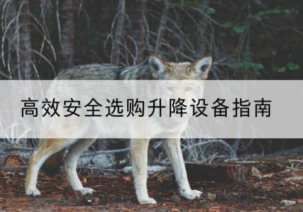 阿拉善右旗升降货梯厂家推荐-*安全选购升降设备指南