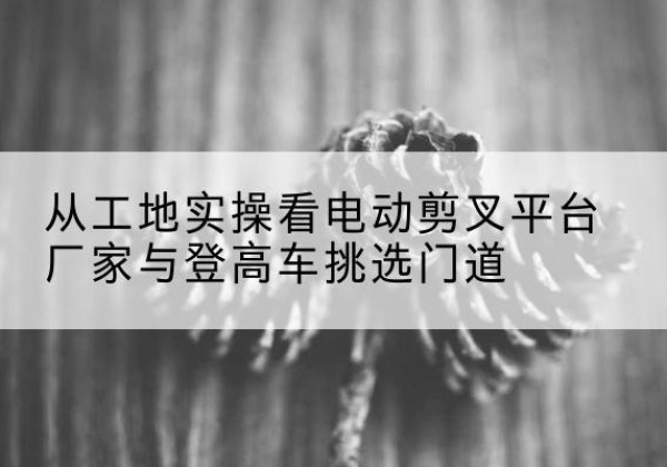 阿拉善右旗电动剪叉升降平台厂家-从工地实操看电动剪叉平台厂家与登高车挑选门道