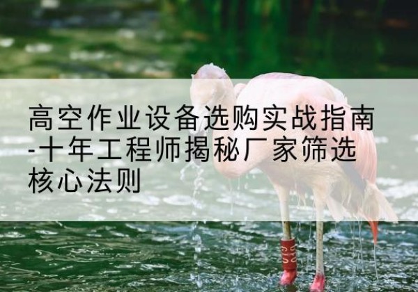 阿拉善右旗剪叉式升降机厂家-高空作业设备选购实战指南-十年工程师揭秘厂家筛选核心法则